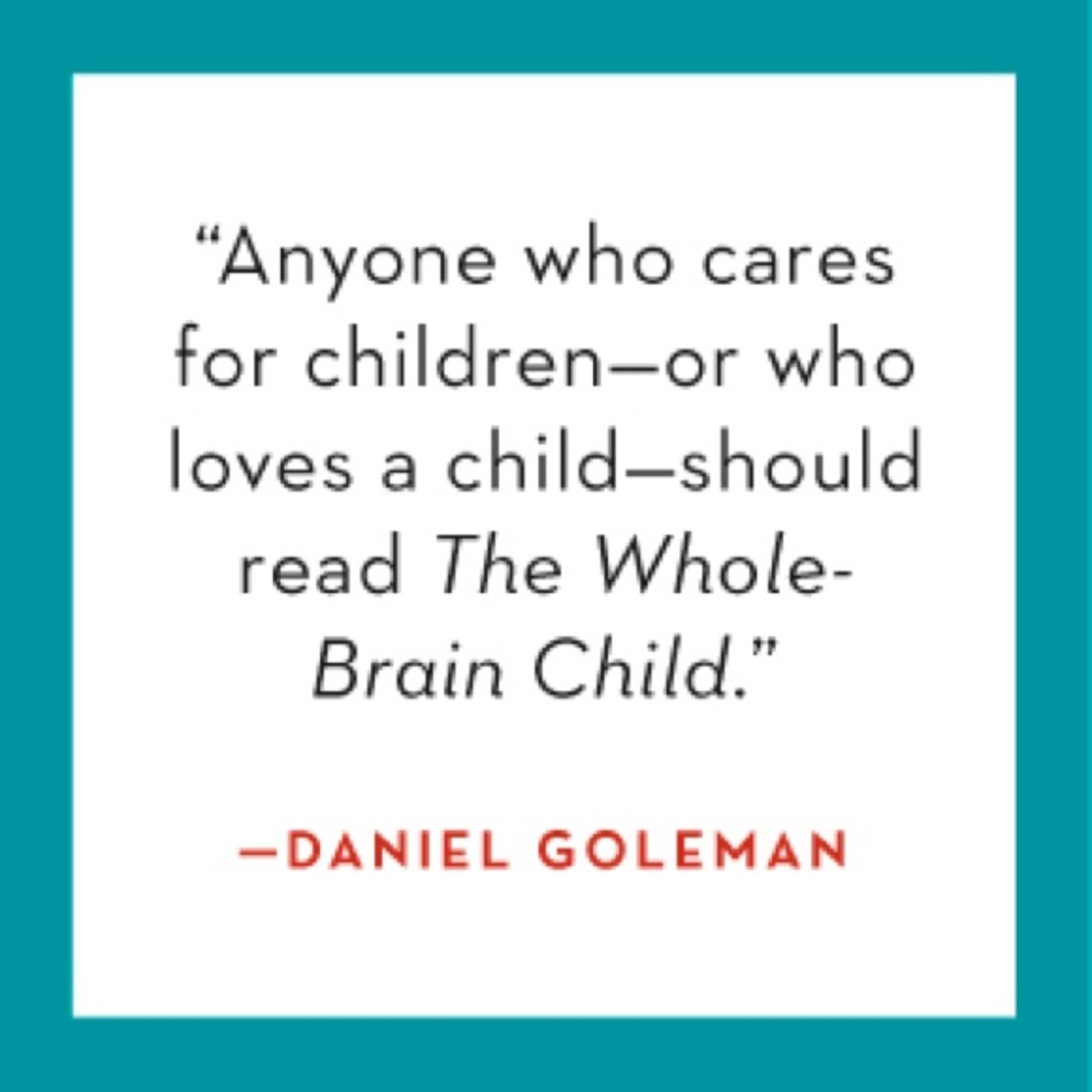 The Whole-Brain Child - Paperback - Parenting Book - Picture 2 of 2